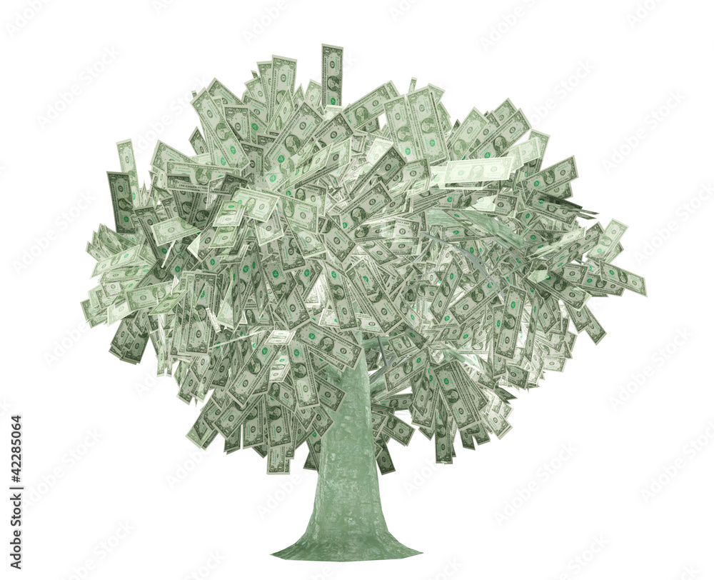 Fototapeta premium dollars tree