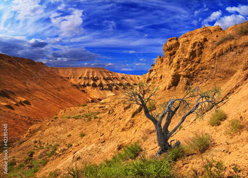 canyon plateau Ustyurt in Kazakhstan