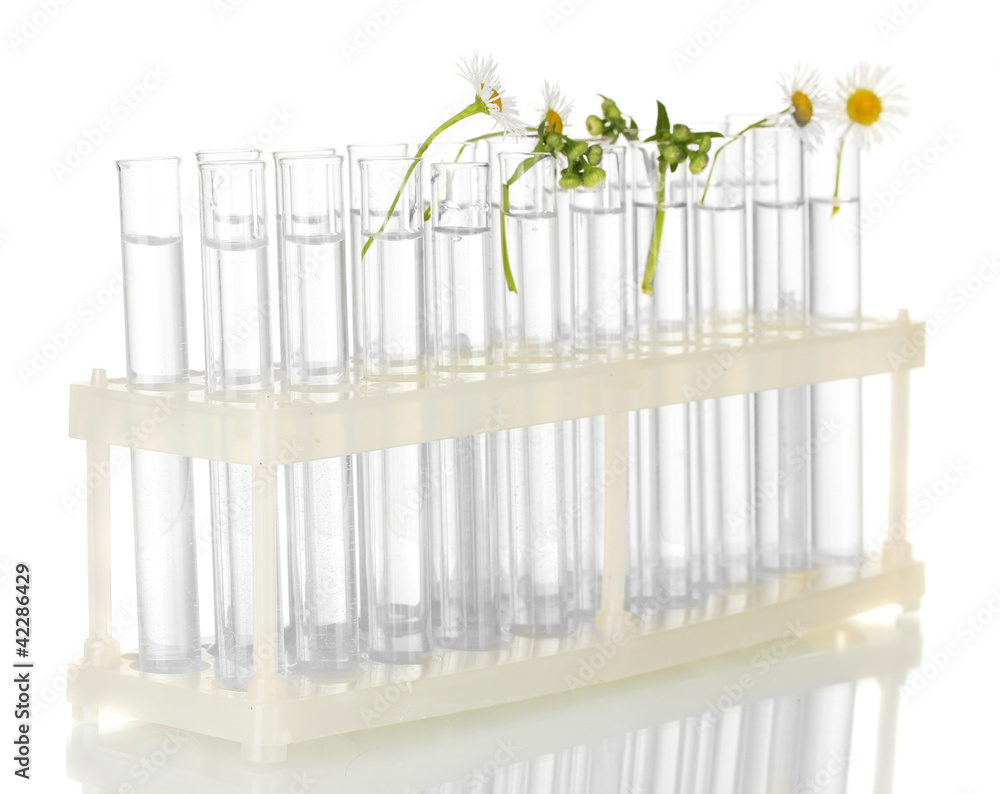 Test-tubes with a transparent solution and the plant isolated Test-tubes with a transparent solution and the plant isolated