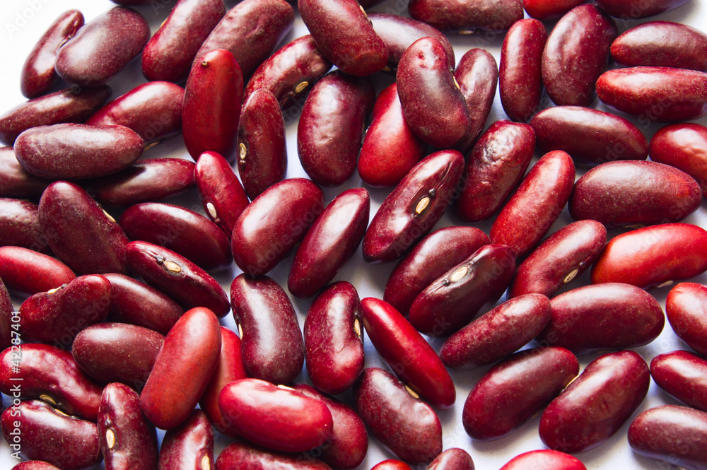 Brown Beans Brown Beans