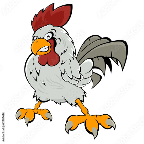 rooster