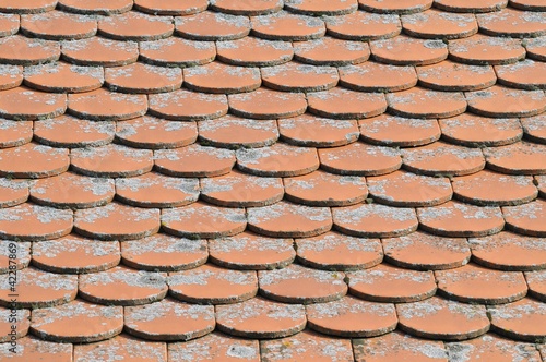 Detail of roof tile