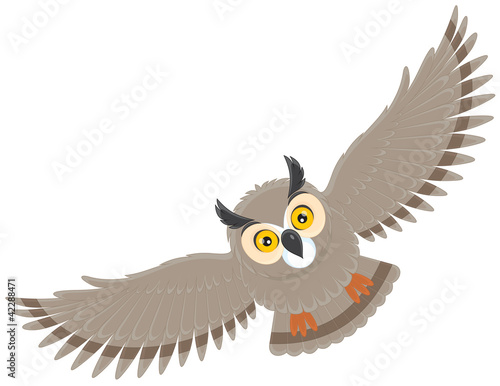 flying owl photo