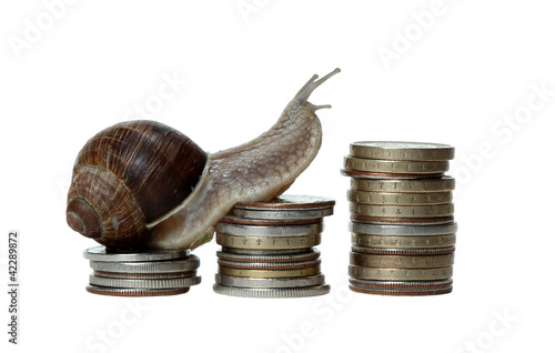 Konstfotografi snail scrambles coins