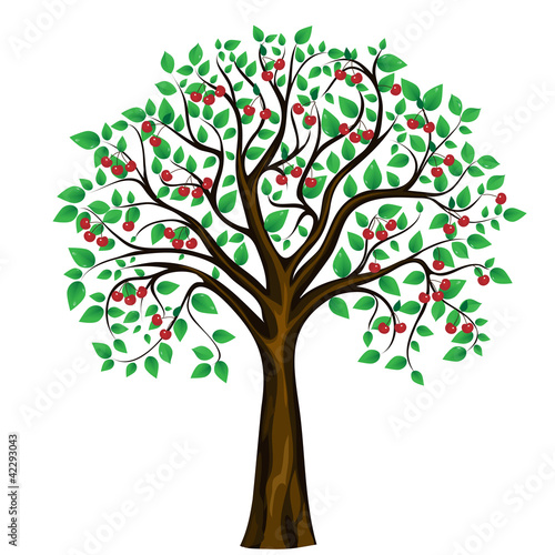 Tableau sur toile vector abstract cherry tree on white background