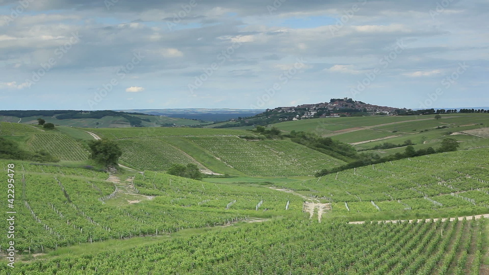 The village and vineyards of Sancerre in France The village and vineyards of Sancerre in France