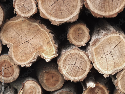 Acacia logs are stored for the long winter ain Hungary