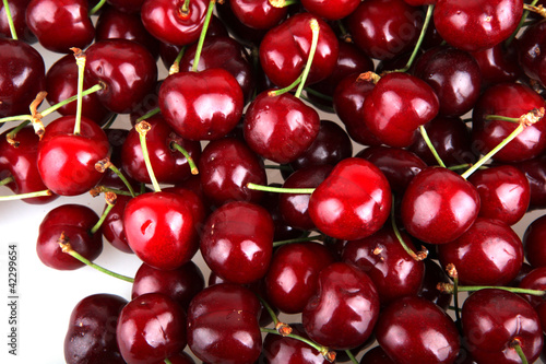 Wallpaper Mural Sweet cherry. Torontodigital.ca