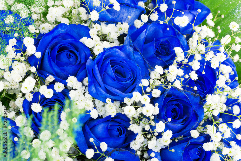 mazzo di rose blu- bouquet Stock Photo | Adobe Stock