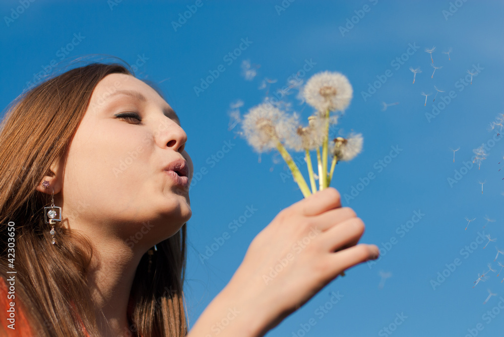 Young woman blowing on dandelion flowers Young woman blowing on dandelion flowers