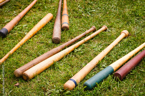 Vintage Baseball Bats Scattered on the Ground
