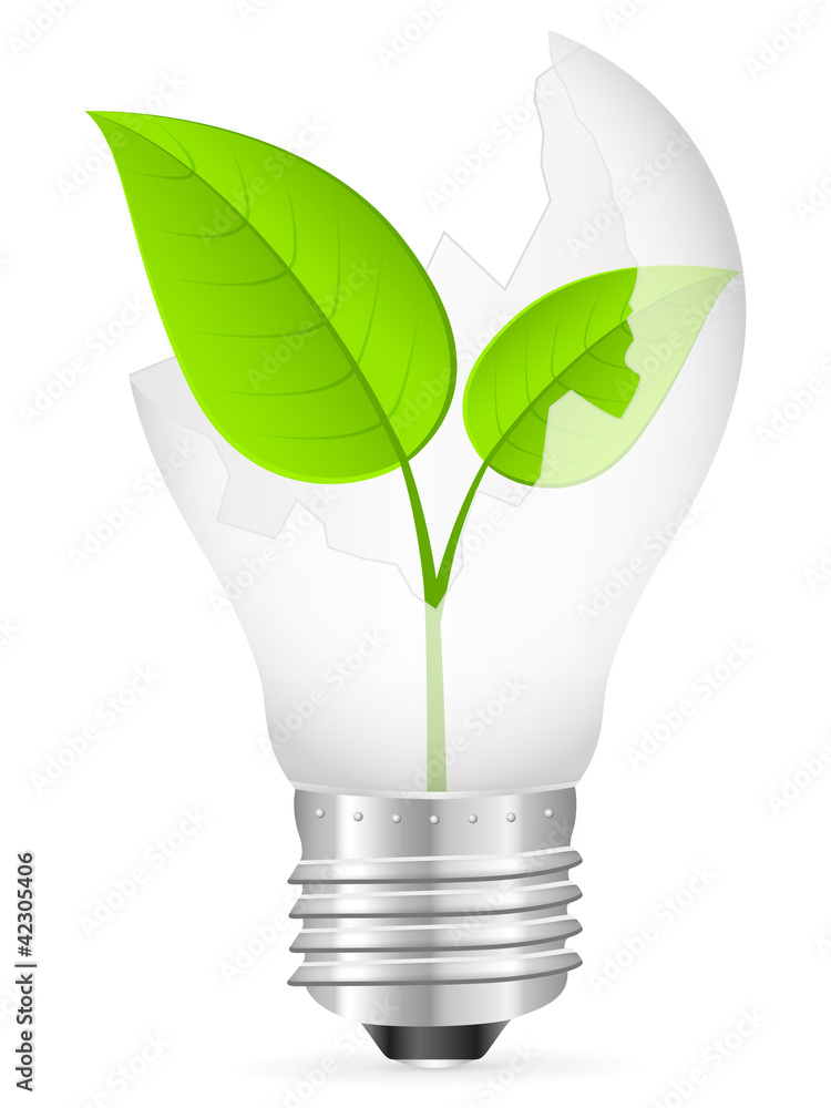 broken light bulb and leaf broken light bulb and leaf