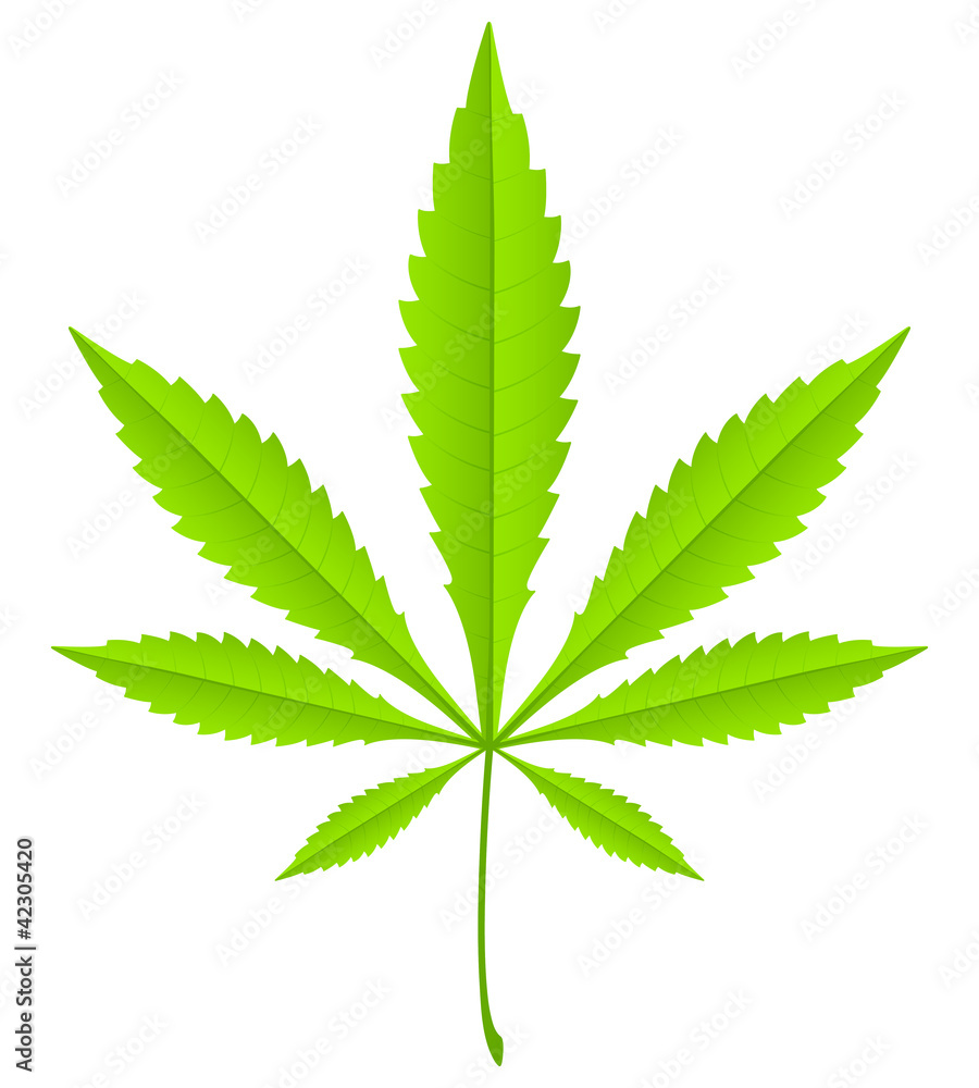 green marijuana leaf green marijuana leaf