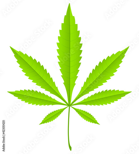 green marijuana leaf