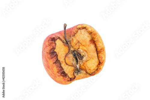 Wilt apple on isolated white background