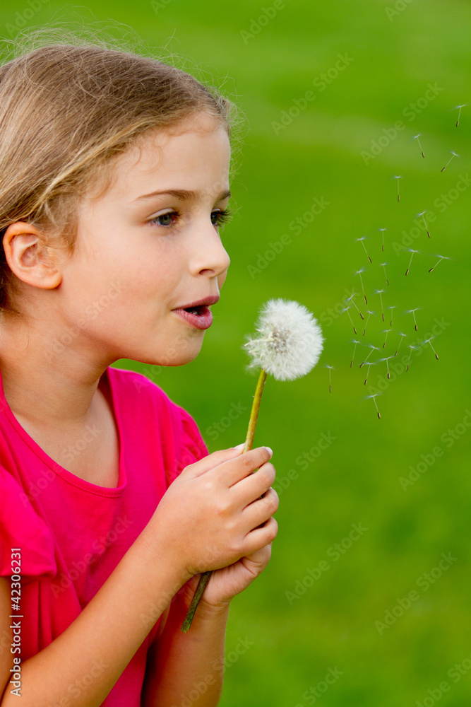 Summer joy - lovely girl blowing dandelion