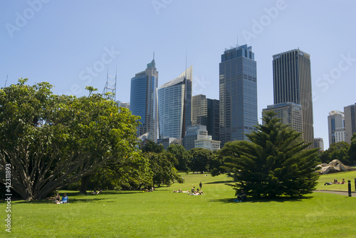 Park with City in Background © jimbola