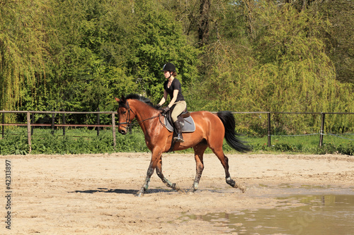 beautiful equestrienne on brown horse in summer