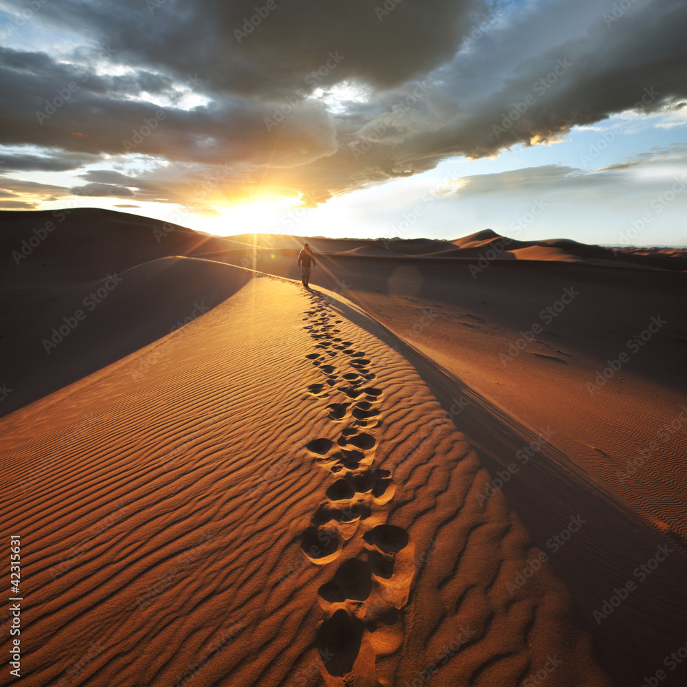 Obraz premium Wycieczka po pustyni