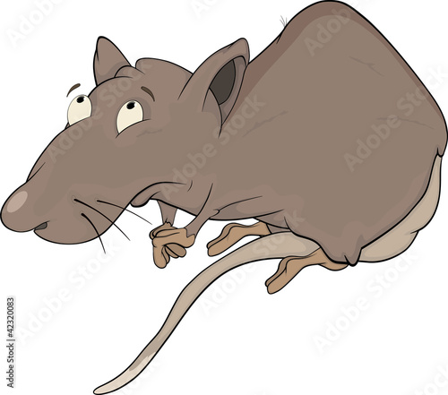 House rat. Cartoon