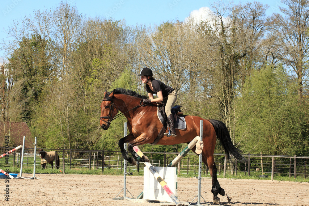 Young woman with a brown horse jump an obstacle Young woman with a brown horse jump an obstacle