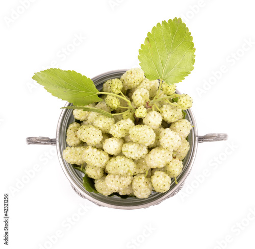 white mulberry on a white background close-up