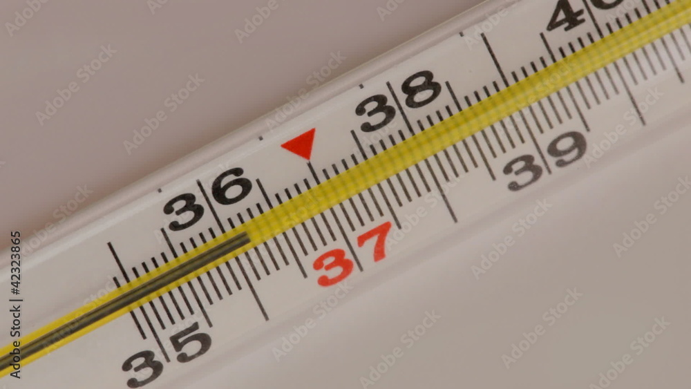 Glass mercurial thermometer takes temperature Glass mercurial thermometer takes temperature