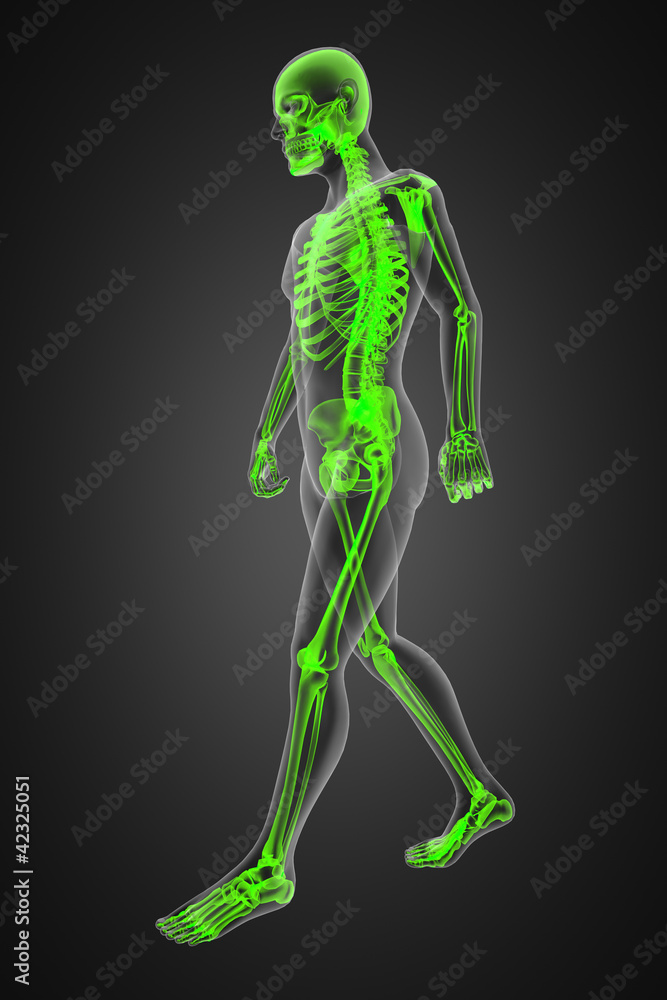 walking man radiography