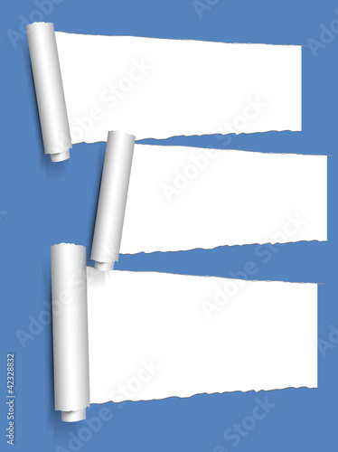 torn peace of paper on the wall vector illustration
