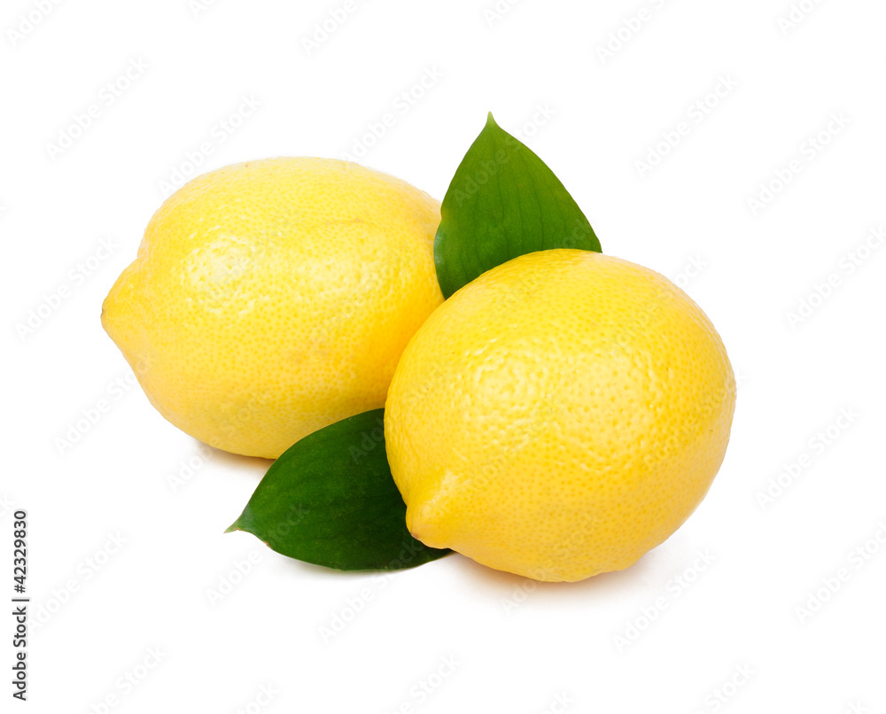 Lemon fruit isolated on white background Lemon fruit isolated on white background