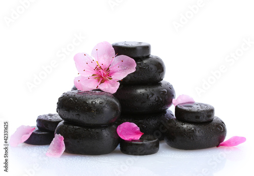 Spa stones with drops and pink sakura flowers isolated on