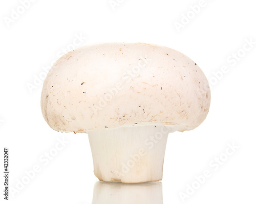 fresh mushroom isolated on white