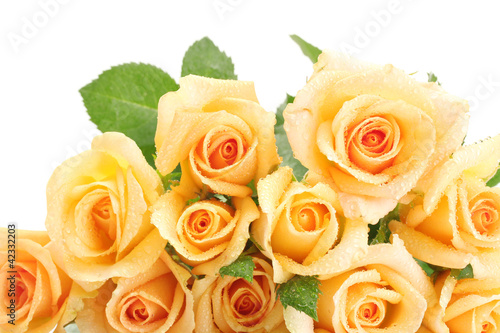beautiful bouquet of roses isolated on white