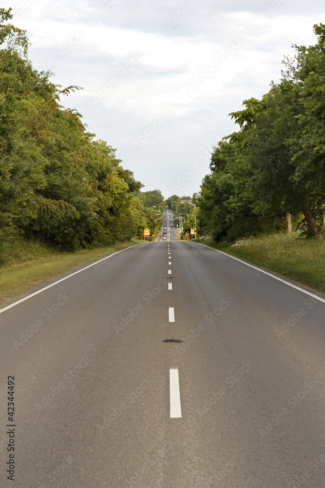 Road Vanishing Point
