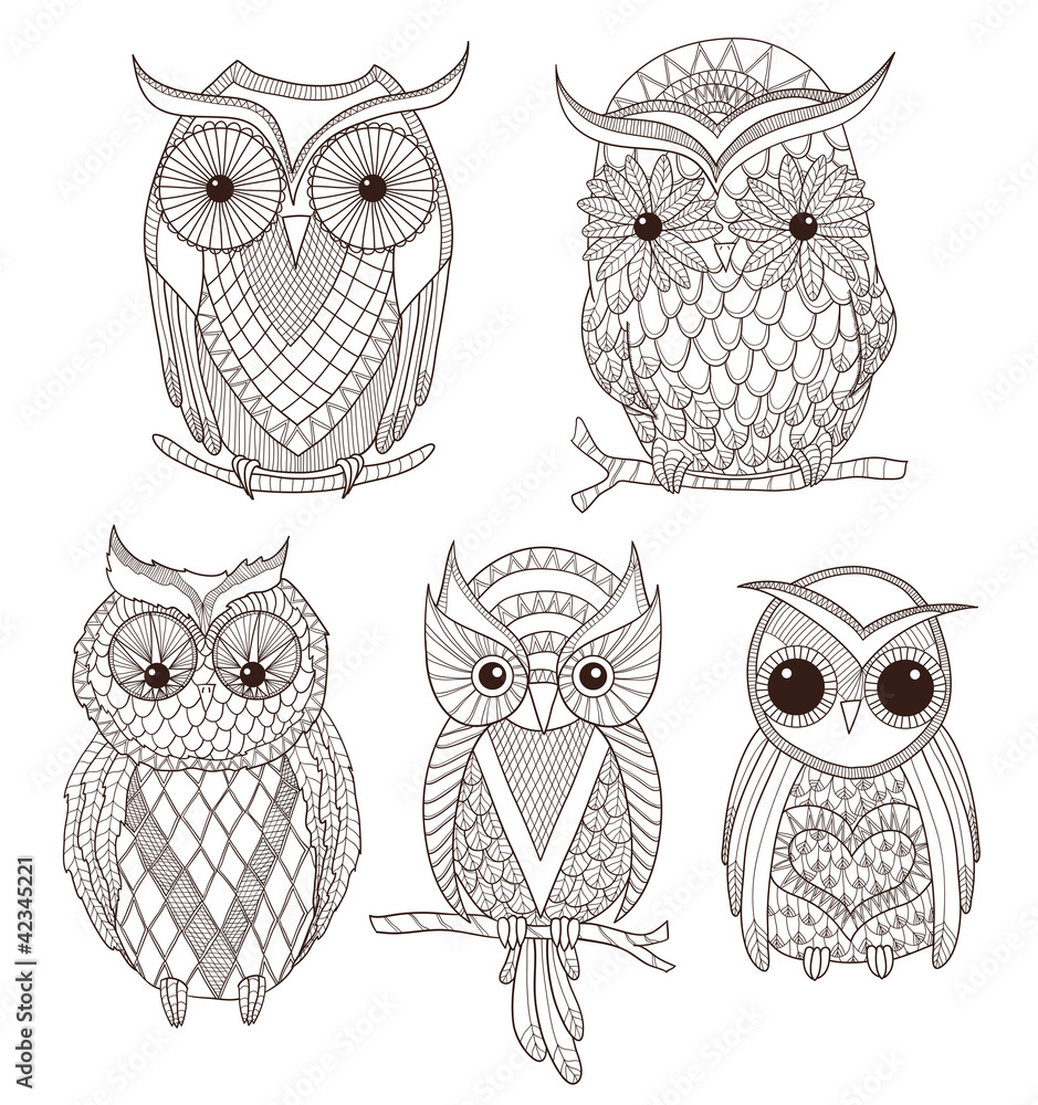 Naklejka premium Set of cute owls.