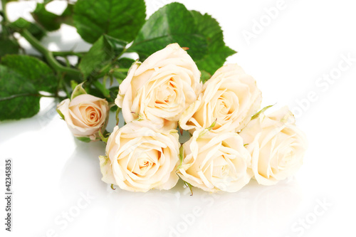 Bouquet of white roses isolated on white