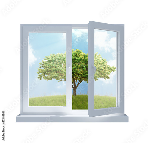  meadow with a tree viewed through an opened window