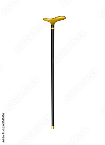 Walking stick