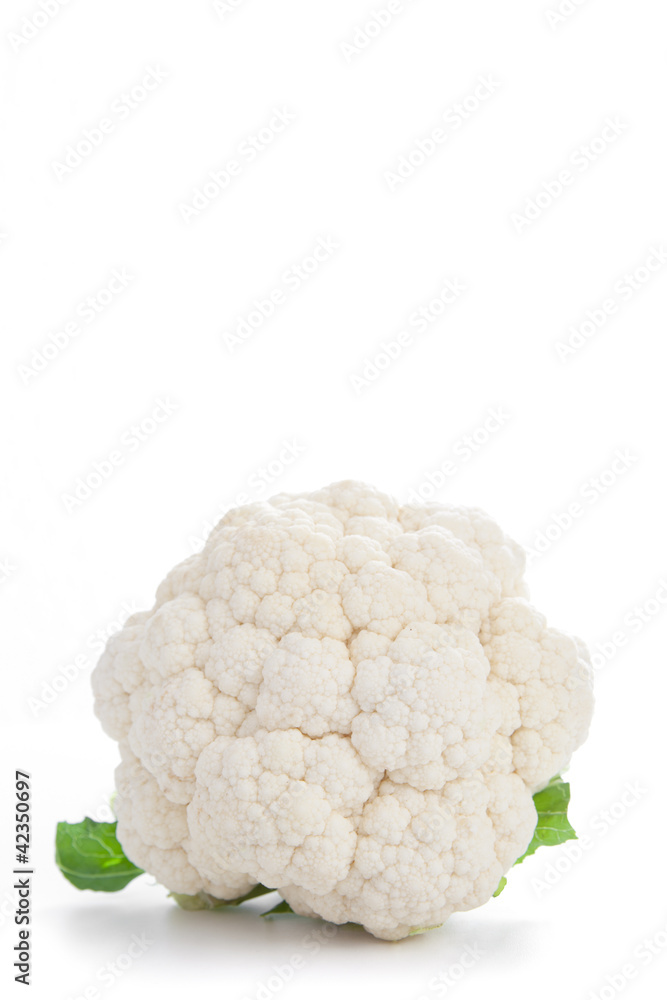 Blumenkohl Blumenkohl