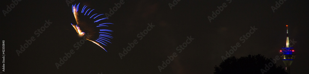 Fototapeta premium Feuerwerk bei Nacht