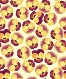 seamless pattern with dark red and yellow pansy, background