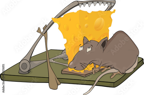 Rat cheese and a mousetrap