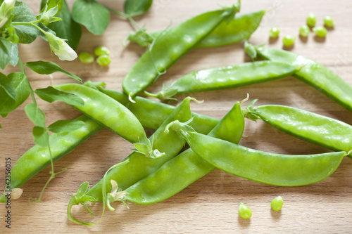 Snow Peas on Yellow Background
