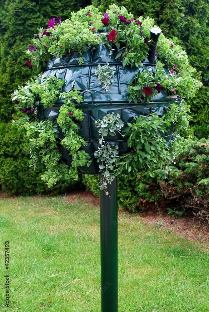 Fototapeta premium Pflanzkugel