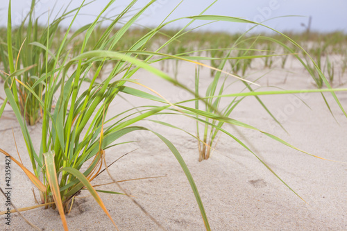 Sand dunes