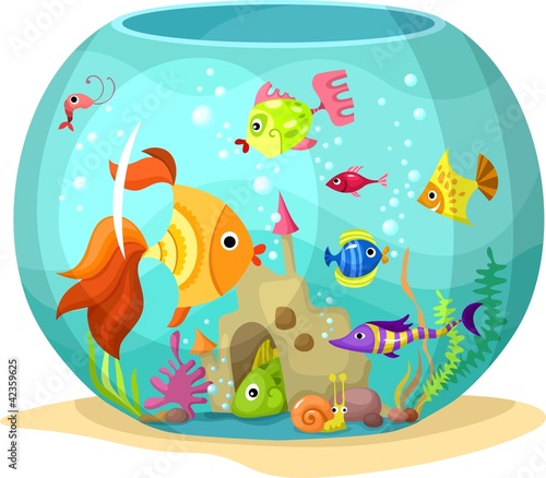 aquarium