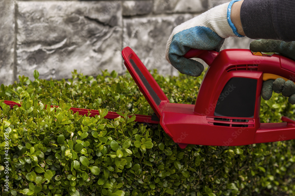 Power Hedger Trimming Hedges Power Hedger Trimming Hedges