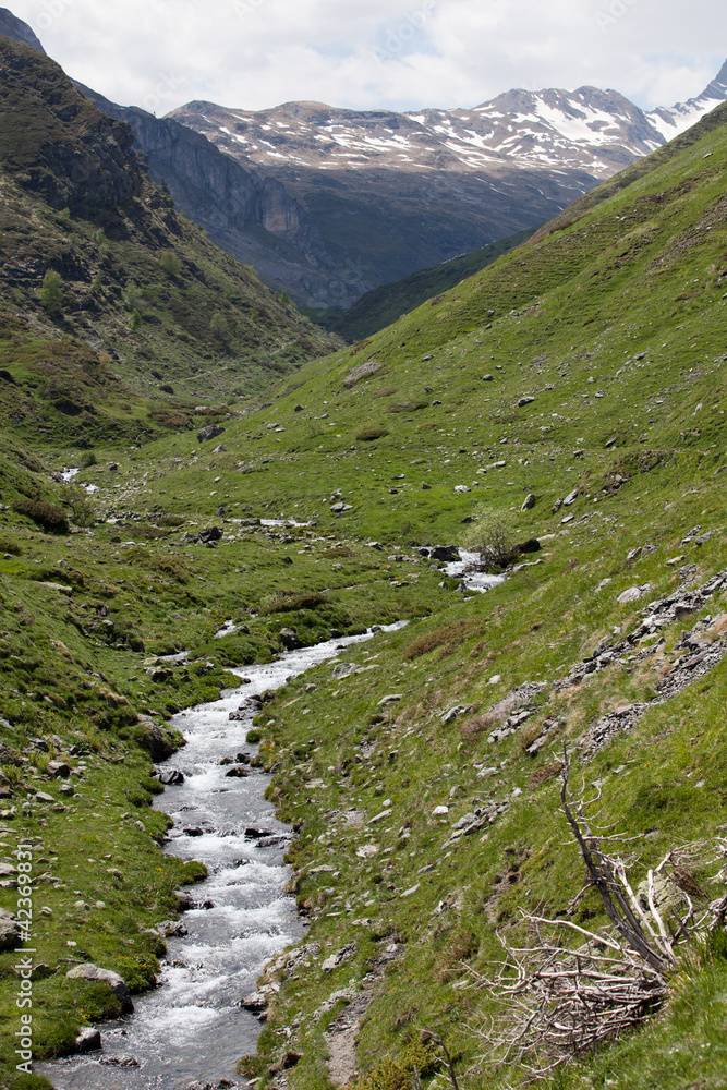 Fototapeta premium Torrent, Pyrénées