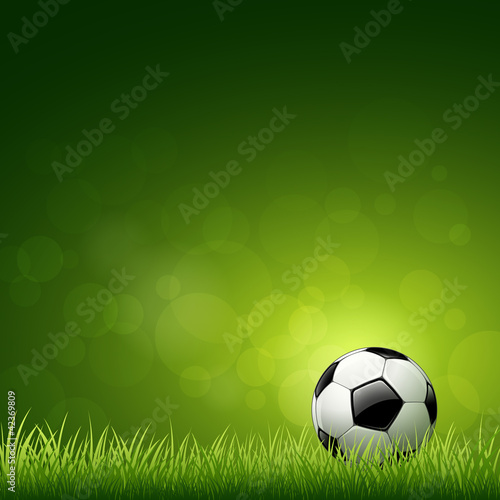 Soccer ball on green grass background vector
