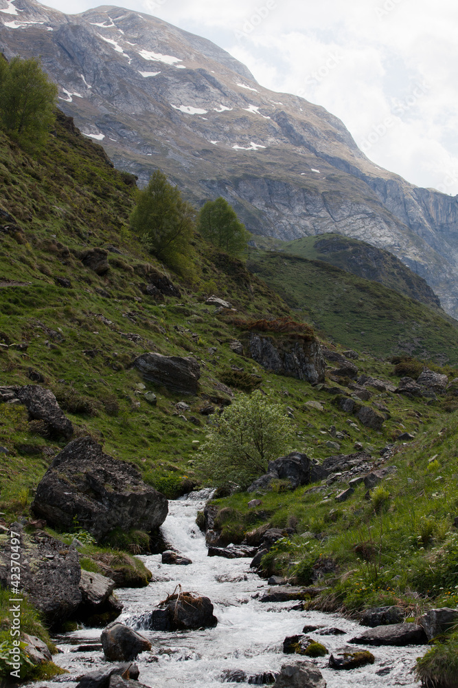 Torrent, Pyrénées